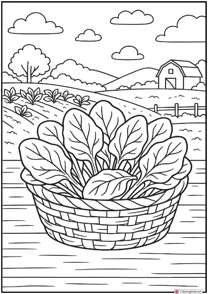 Spinach Leaves in Basket