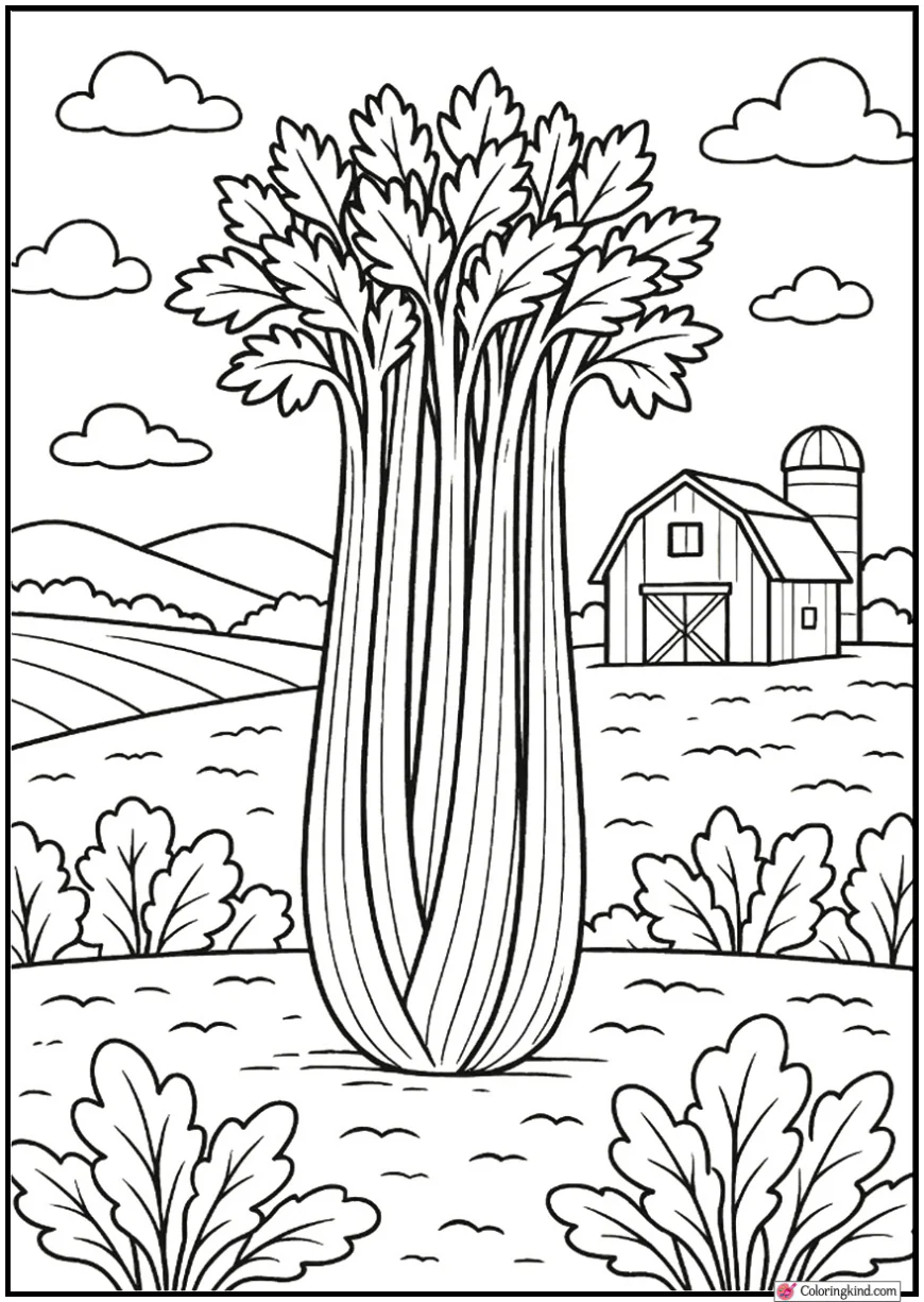 Celery Stalks Standing Upright