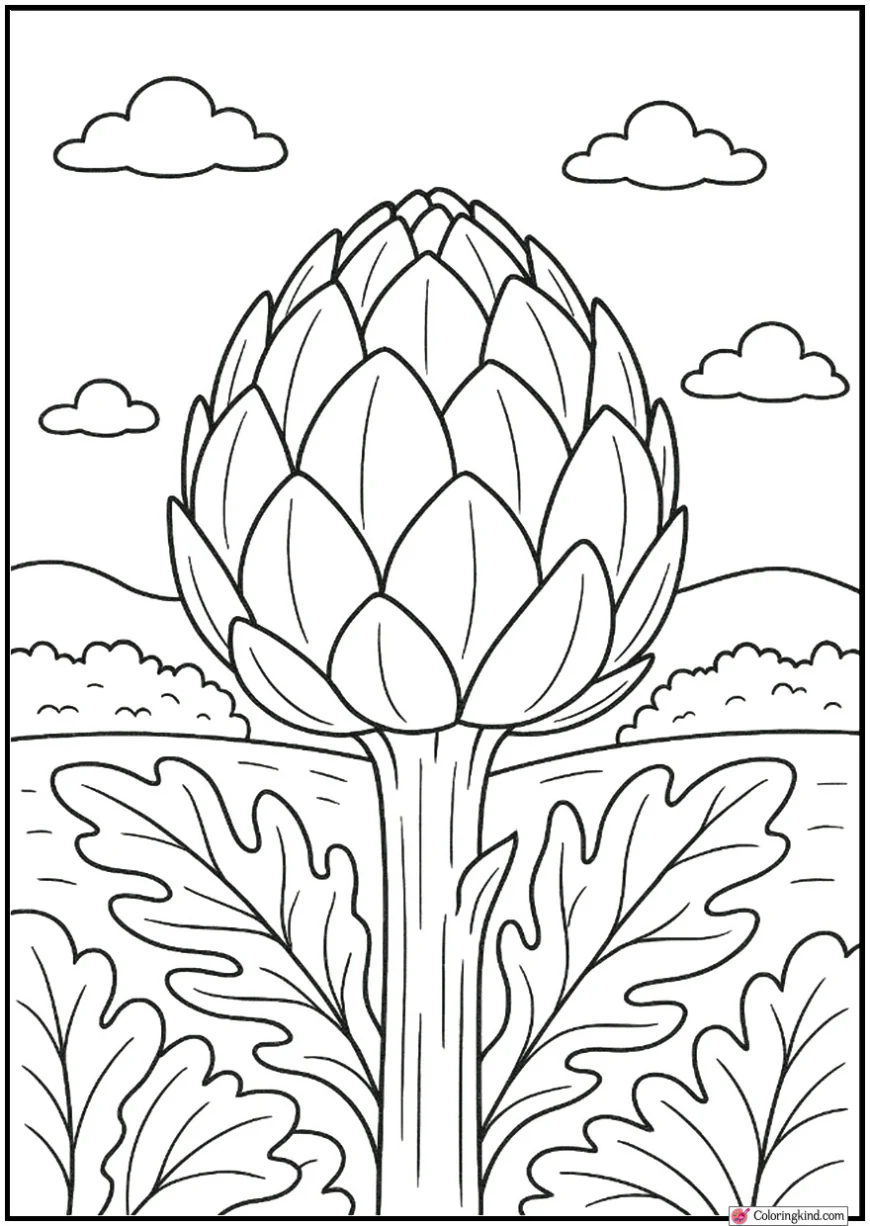 Artichoke Close-Up View