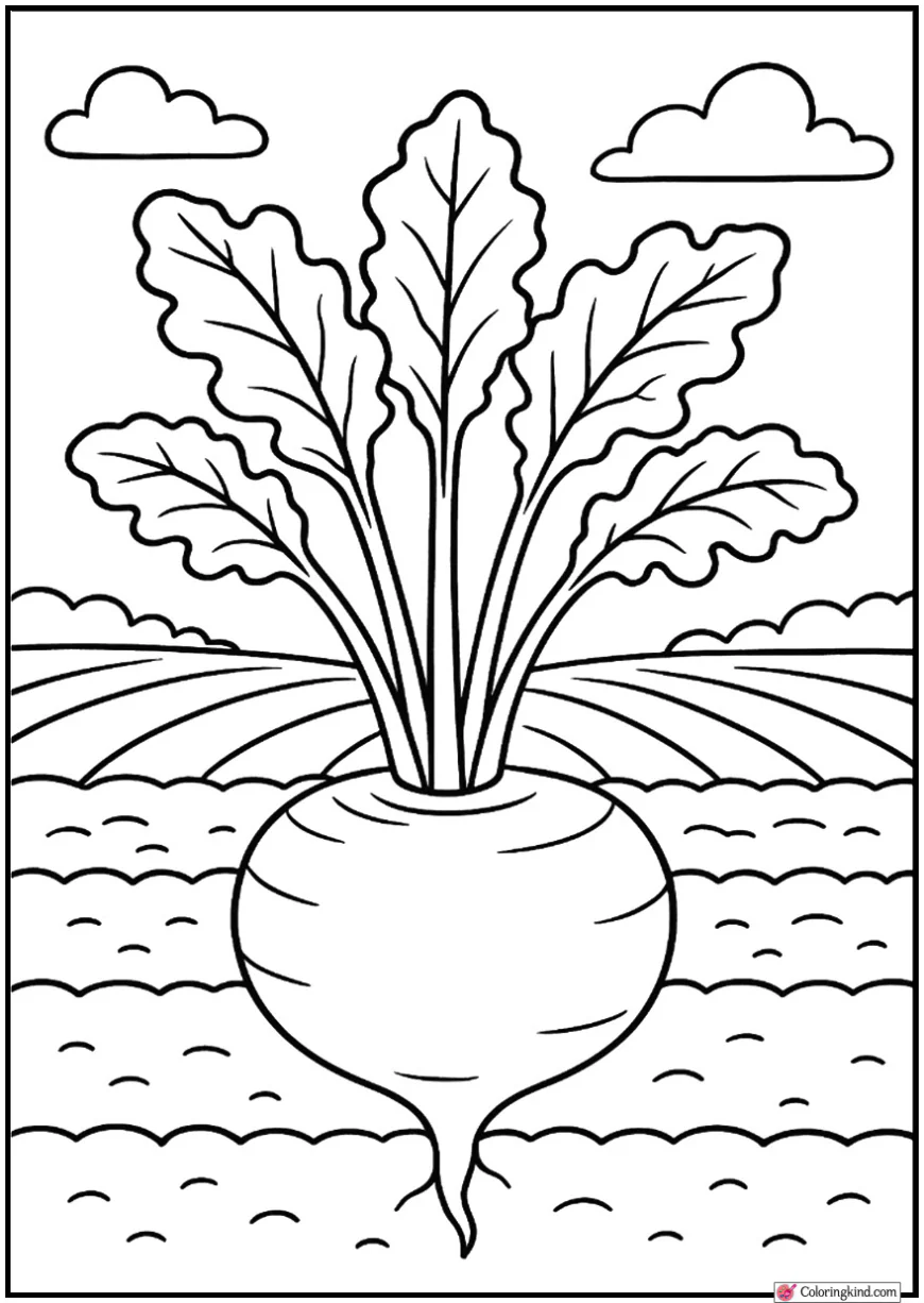 Turnip With Leafy Tops