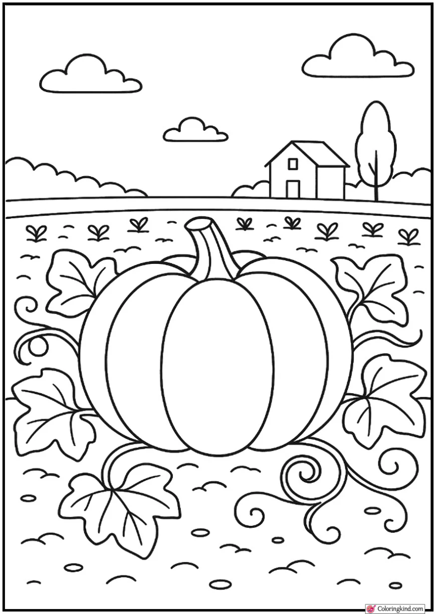 Pumpkin Patch With One Big Pumpkin