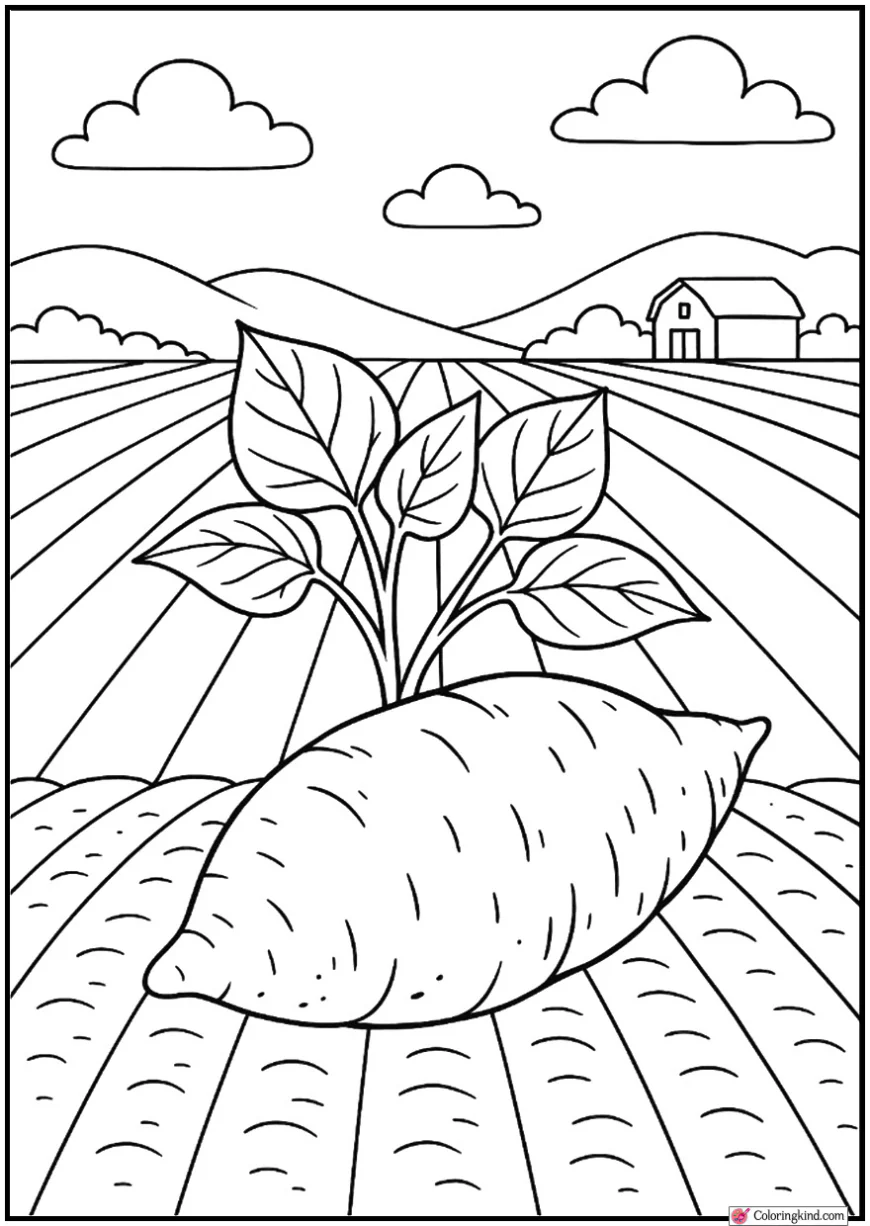 Sweet Potato with Leaves