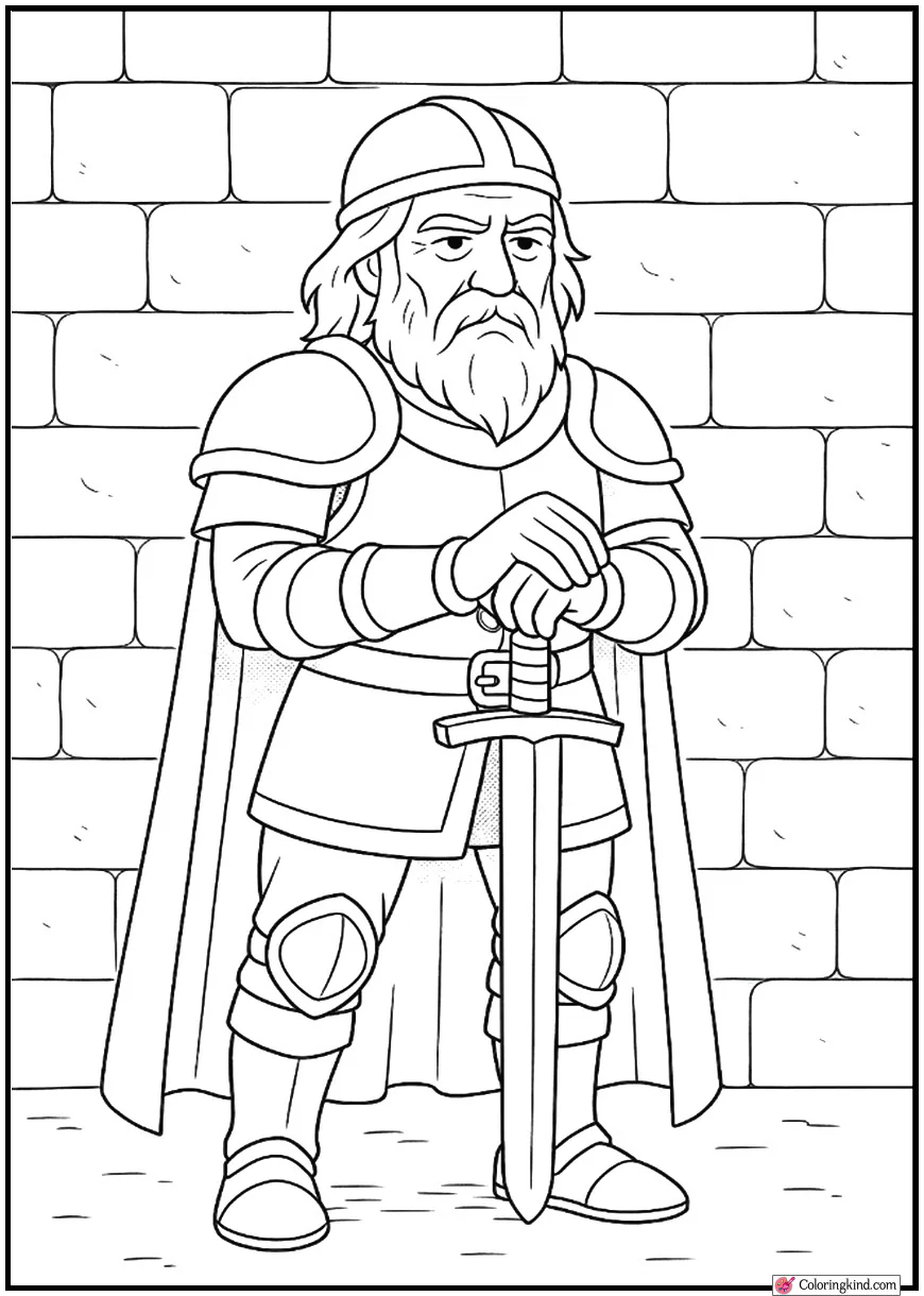 Wise Old Knight – Plain Stone Wall Backdrop