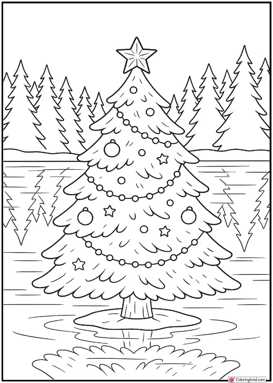 Christmas Tree Beside Frozen Lake