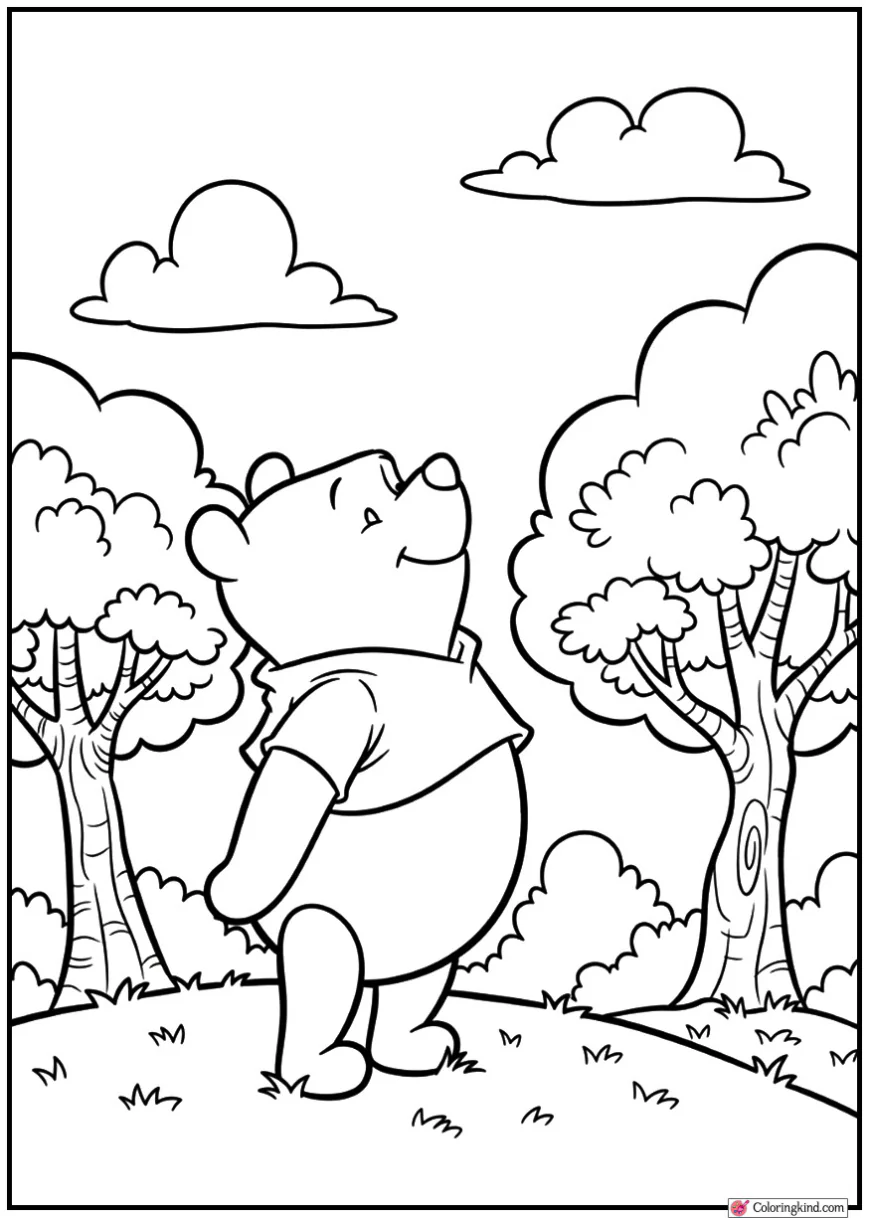 Winnie the Pooh Looking at Sky with Trees