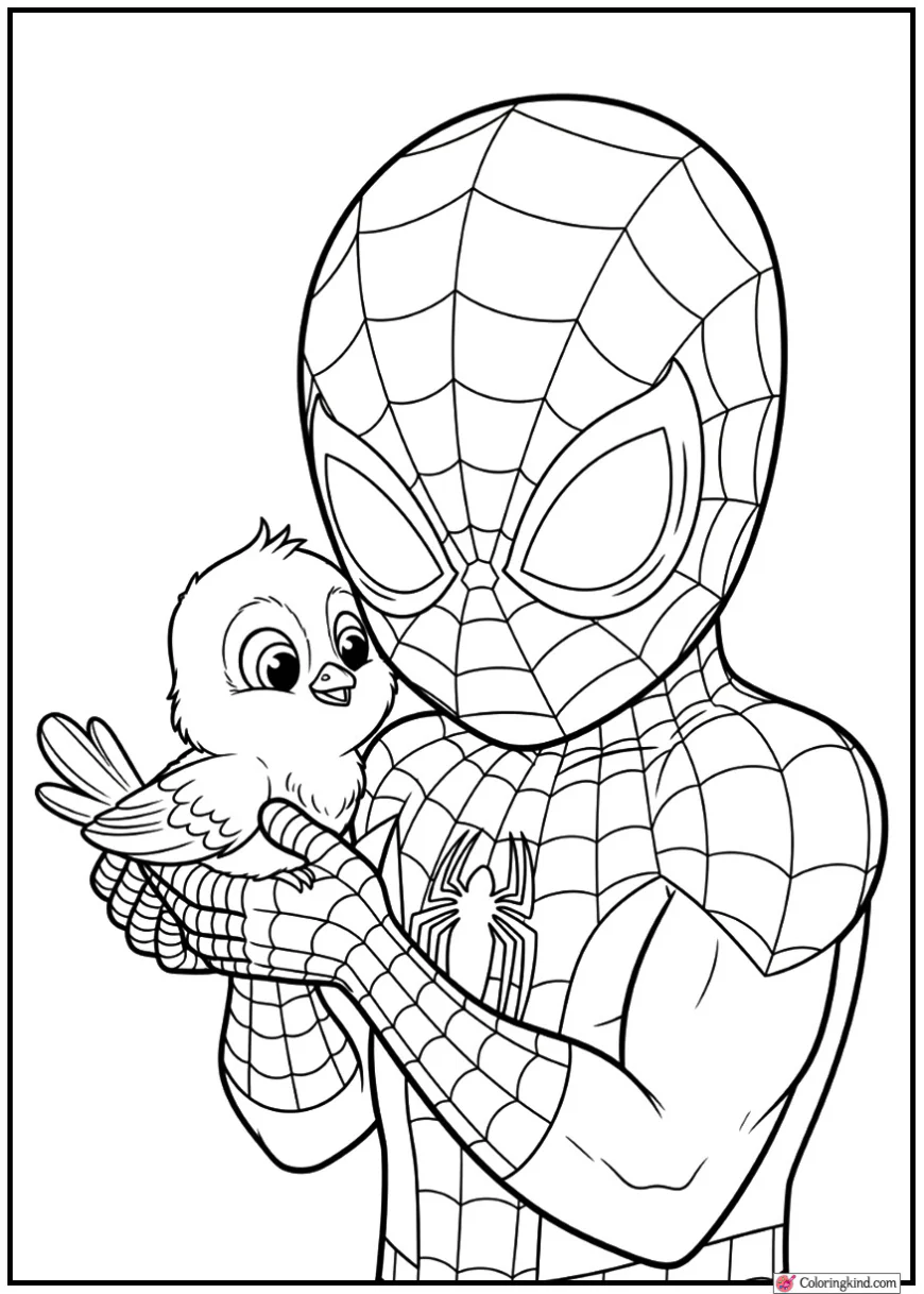 Spider-Man gently holding a baby bird