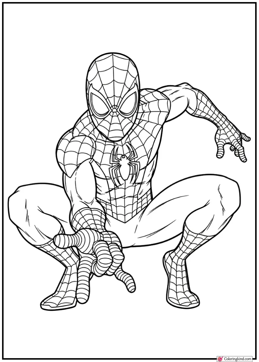 Spider-Man hero stance