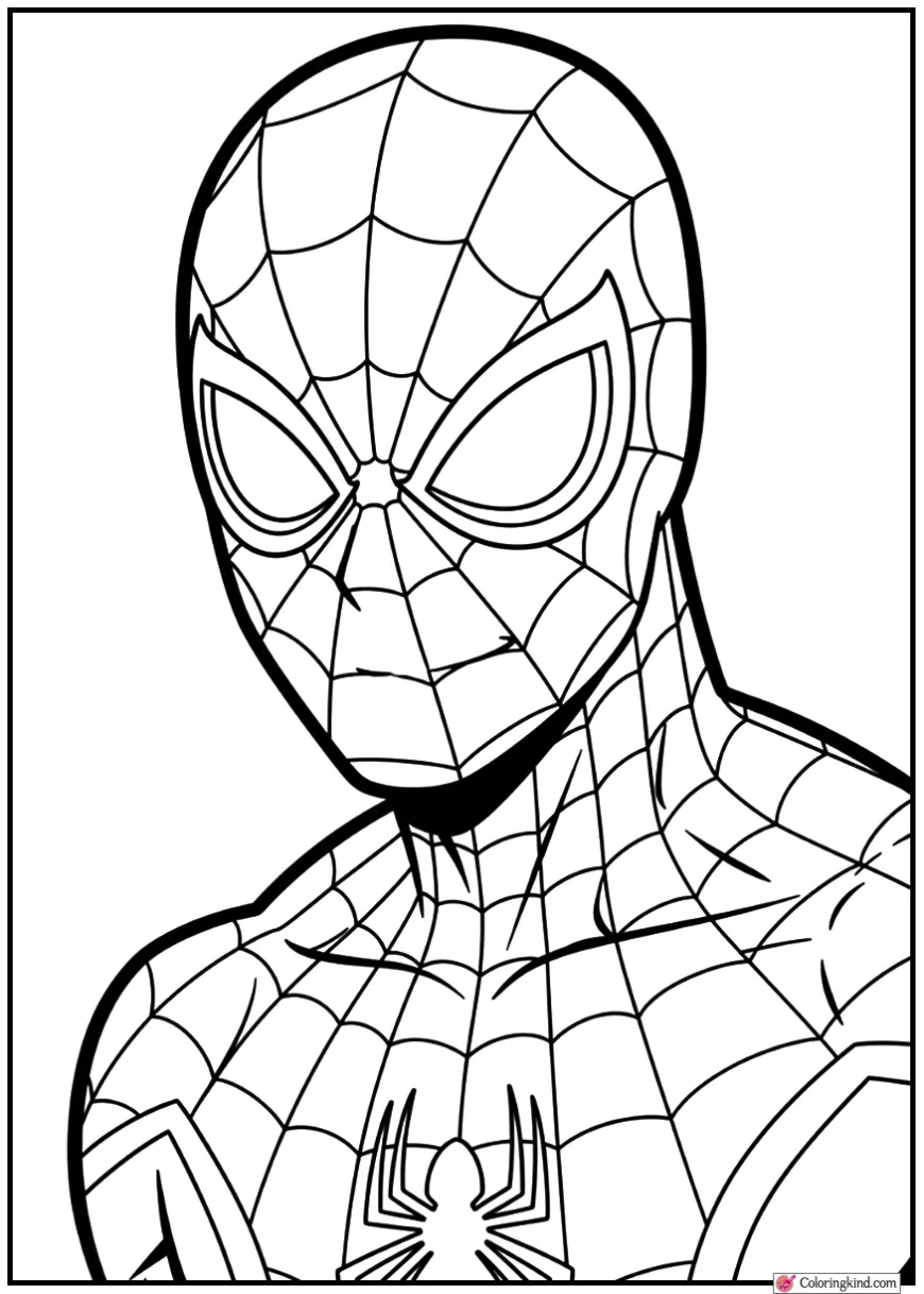 Portrait of Spider-Man